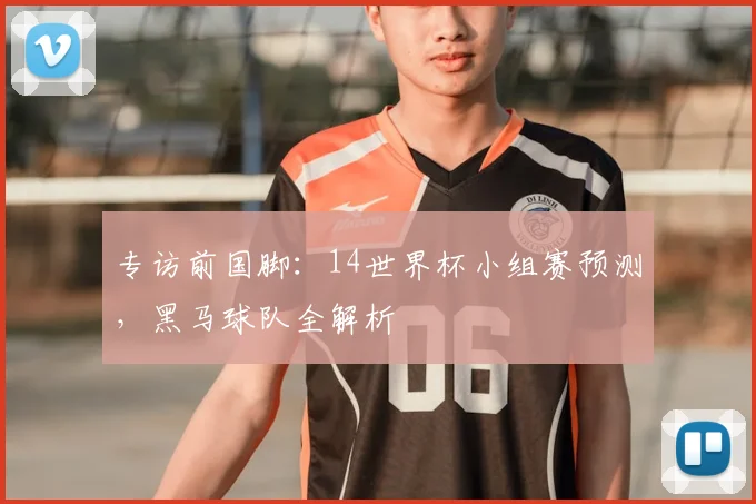 专访前国脚:14世界杯小组赛预测,黑马球队全解析