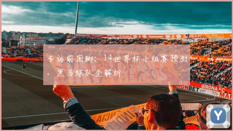 专访前国脚：14世界杯小组赛预测，黑马球队全解析