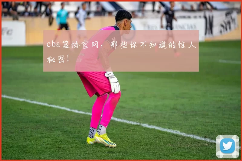 cba篮协官网，那些你不知道的惊人秘密！
